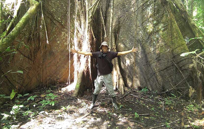 arbol gigante amazonas